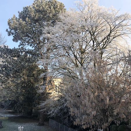 Le Jardin De Fresnes Bed & Breakfast Eksteriør bilde